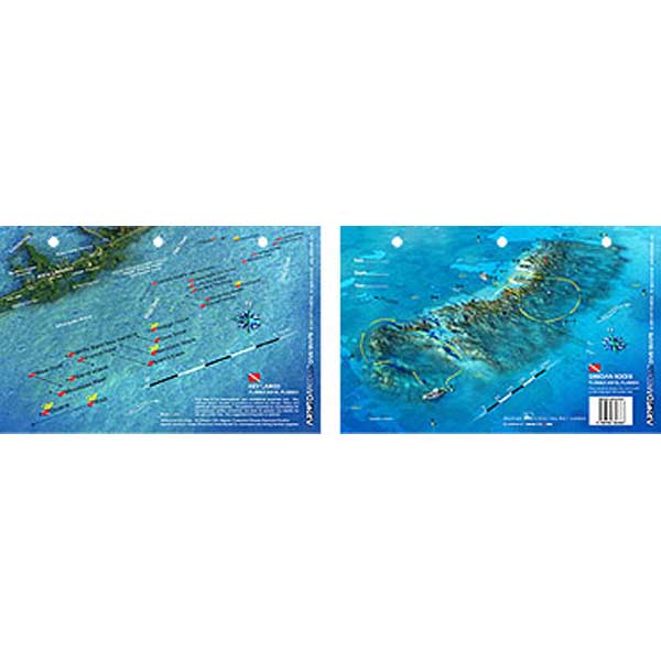 Two maps of a coastal area with underwater features and annotations on a white background.