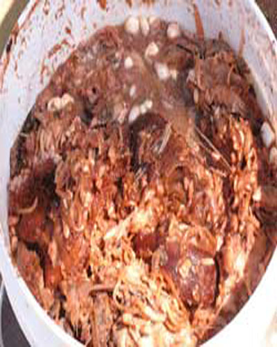bucket with a goopy mess of chopped up fish for chum