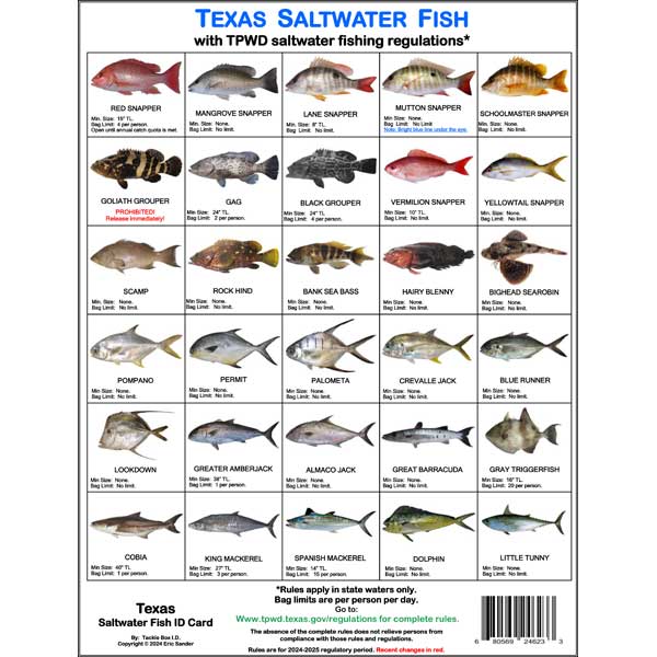Chart of Texas saltwater fish with TPWD regulations on a white background