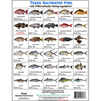 Chart of Texas saltwater fish with TPWD regulations on a white background