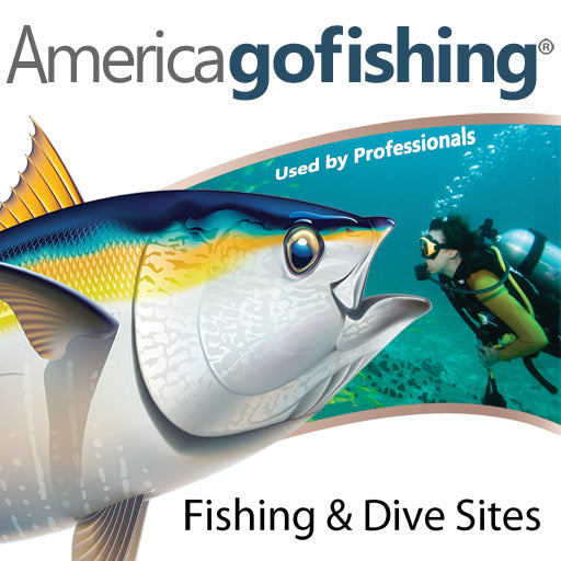 America Go Fishing logo, tuna graphic and diver