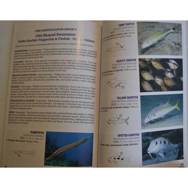 Open book with pages about fish identification, featuring images and text on various fish species.