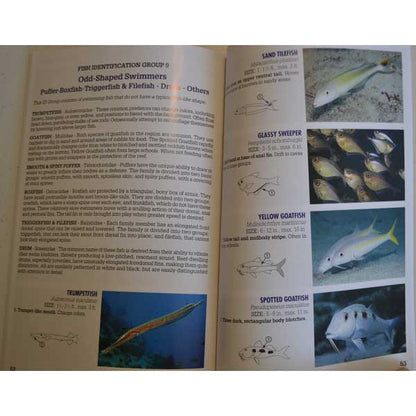Open book with pages about fish identification, featuring images and text on various fish species.