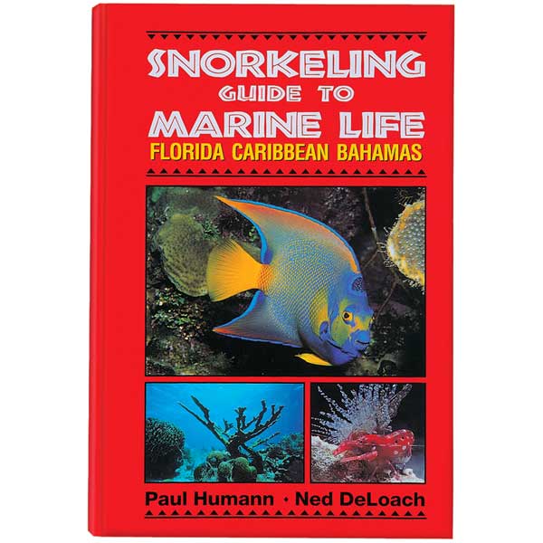 Book cover of 'Snorkeling Guide to Marine Life Florida Caribbean Bahamas' with underwater images and red background