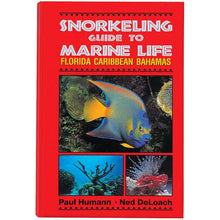 Book cover of 'Snorkeling Guide to Marine Life Florida Caribbean Bahamas' with underwater images and red background