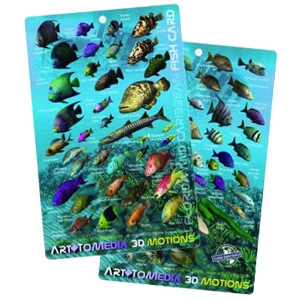 Two cards with colorful fish illustrations and Artomedia branding on a white background