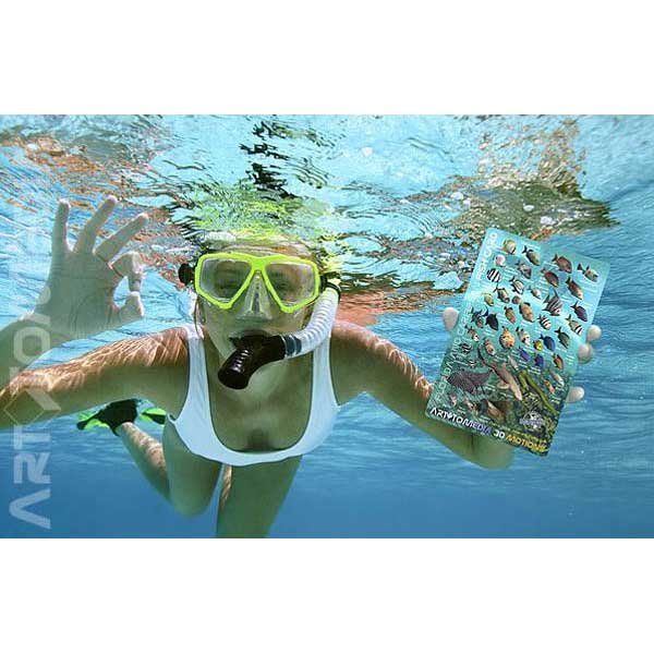 Person underwater holding a colorful chart with sea creatures, wearing a snorkel and mask.
