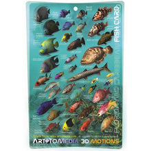 Educational card with illustrations of various fish species on a teal background