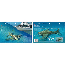 2 card images of sunken airplane and a boat on a blue background.