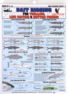 Bait rigging chart for trolling and bottom fishing with various fish illustrations and text.