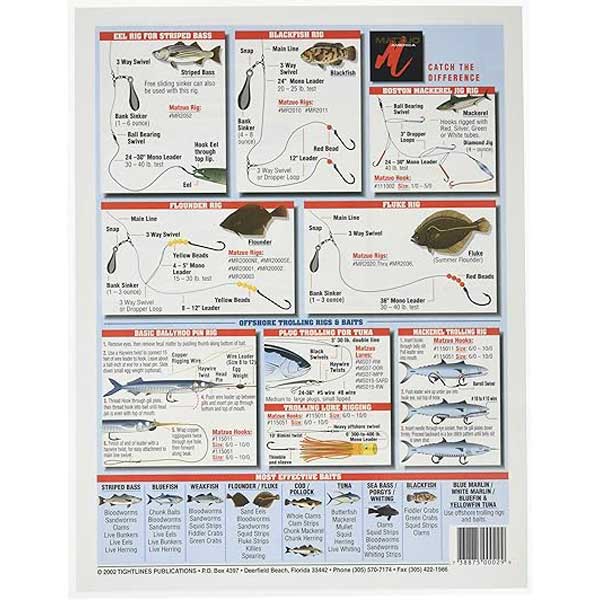 Fishing chart with various fishing rigs and techniques for different fish species on a white background.