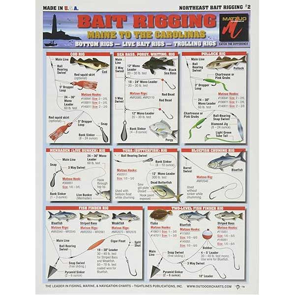 Fishing rigging chart for Northeast Bait Rigging, featuring various fishing techniques and equipment.