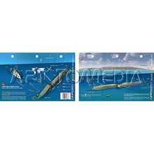 Two packaging designs for a sunken airplane by Art to Media on a white background.