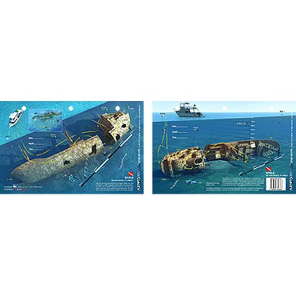 Two views of a sunken shipwreck with underwater illustrations and labels on a blue background.