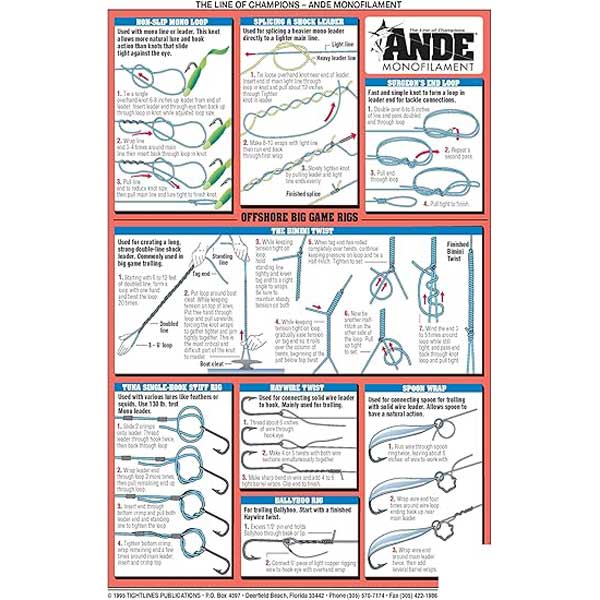 Instructional chart on fishing rigs with diagrams and text, featuring the Ande brand.