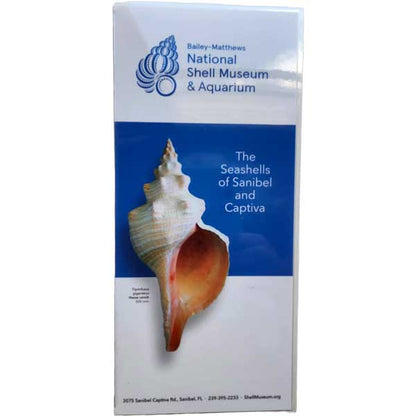 Laminated guide for Bailey-Matthews National Shell Museum & Aquarium featuring a shell illustration on a blue and white background.