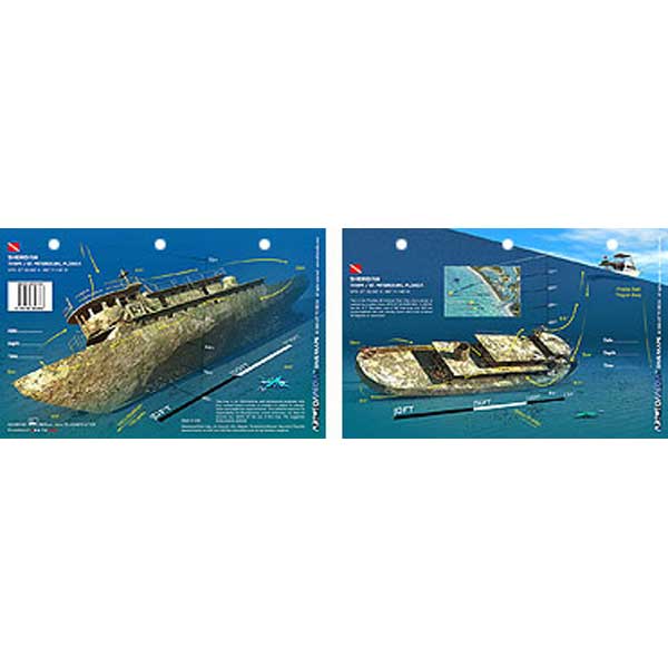 Two packaging designs of a shipwreck with detailed illustrations on a white background.