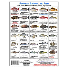 Chart of Florida saltwater fish with corresponding names and images on a white background.
