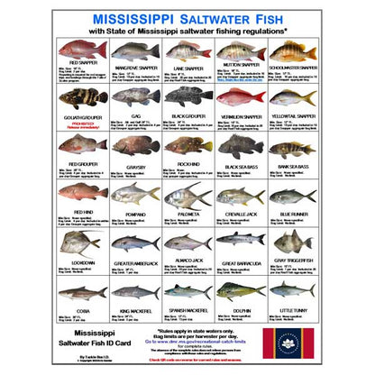 Chart of Mississippi saltwater fish with corresponding names and state regulations.
