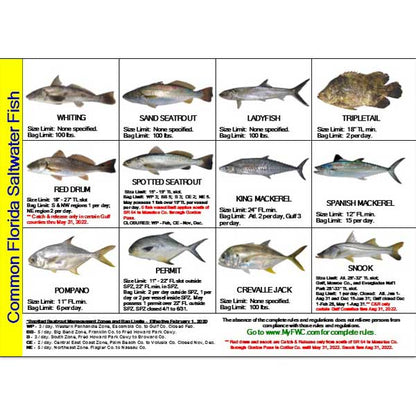 Chart of common Florida saltwater fish with images and regulations.