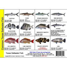 Chart of common Texas saltwater fish with images and size limits.