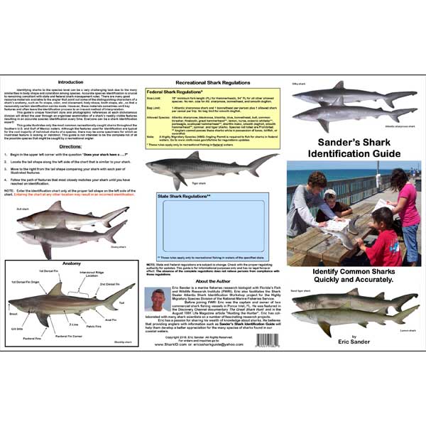 Shark identification guide with images and text on a white background