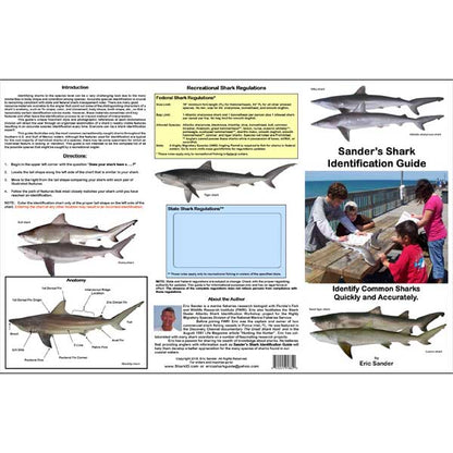 Shark identification guide with images and text on a white background