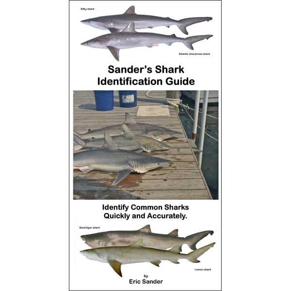 Sander's Shark Identification Guide book cover with images of sharks on a dock.