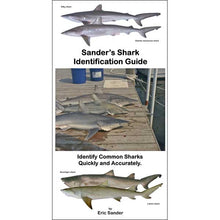 Sander's Shark Identification Guide book cover with images of sharks on a dock.