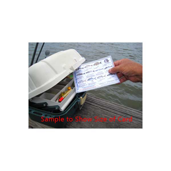 Card held up to a boat on a dock with water in the background