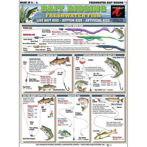 Fishing chart with various freshwater fish and rigging techniques on a white background