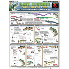 Fishing chart with various freshwater fish and rigging techniques on a white background