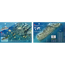 Two maps of an reef site island with a ship and diving information on a white background