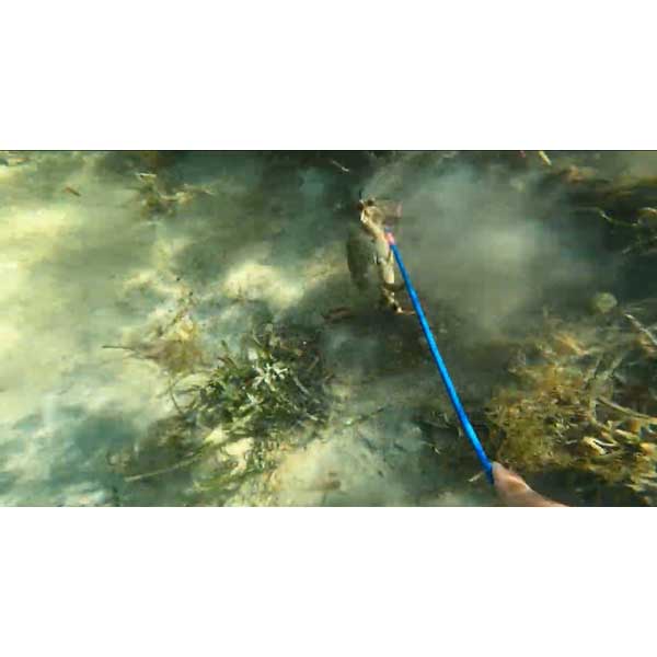 Person using a blue tool to interact with underwater plants