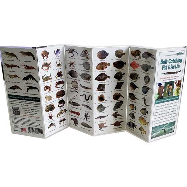 Foldout card with illustrations of various animals on a white background