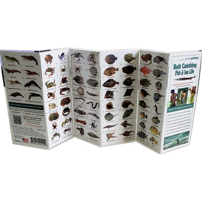 Foldout card with illustrations of various animals on a white background
