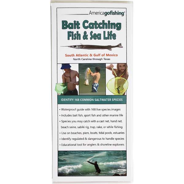 Fishing guidebook titled 'Bait Catching Fish & Sea Life' by America Go Fishing on a white background.