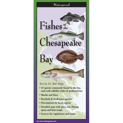 Booklet cover titled 'Fishes of the Chesapeake Bay' with illustrations of fish and text.
