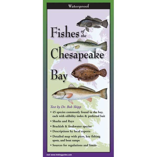 Booklet cover titled 'Fishes of the Chesapeake Bay' with illustrations of fish and text.