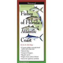 Booklet cover titled 'Fishes of Florida's Atlantic Coast' with illustrations of fish and text.