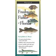 Booklet cover about freshwater fishes of Florida with illustrations on a white background