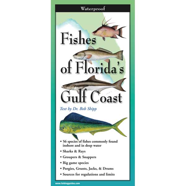 Booklet cover titled 'Fishes of Florida's Gulf Coast' with illustrations of fish on a green border.