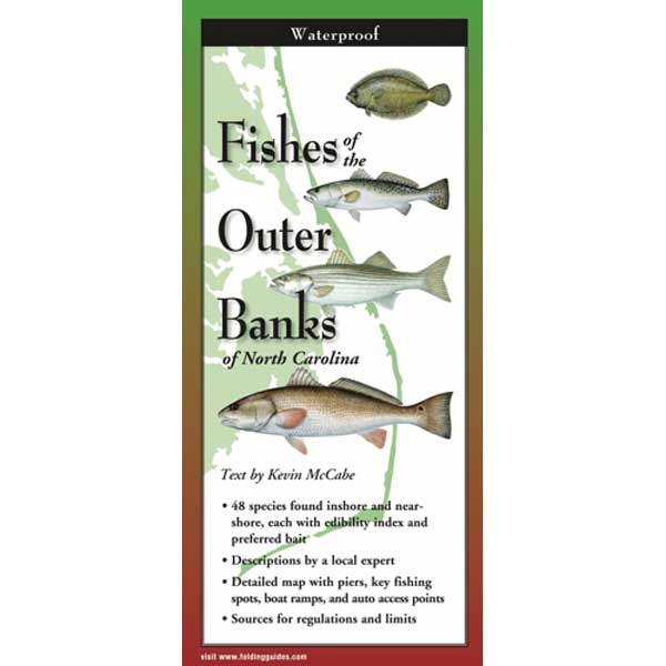 Fish ID - Outer Banks of North Carolina