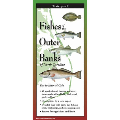 Fish ID - Outer Banks of North Carolina