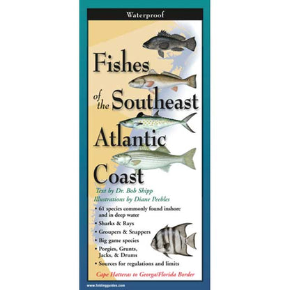 Booklet cover titled 'Fishes of the Southeast Atlantic Coast' with illustrations of fish and text.