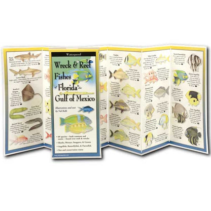 Foldout guidebook with illustrations of fish from Florida and the Gulf of Mexico