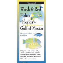 Book cover of 'Wreck & Reef Fishes of Florida & the Gulf of Mexico' with illustrations of fish.