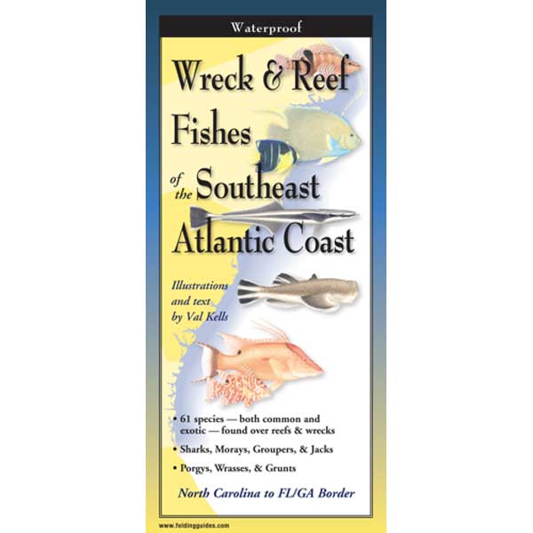 Wreck & Reef Fish of Southeast Atlantic