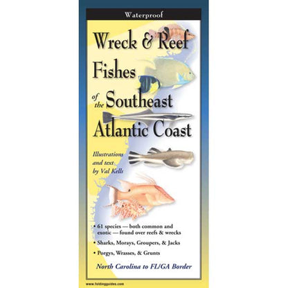 Wreck & Reef Fish of Southeast Atlantic