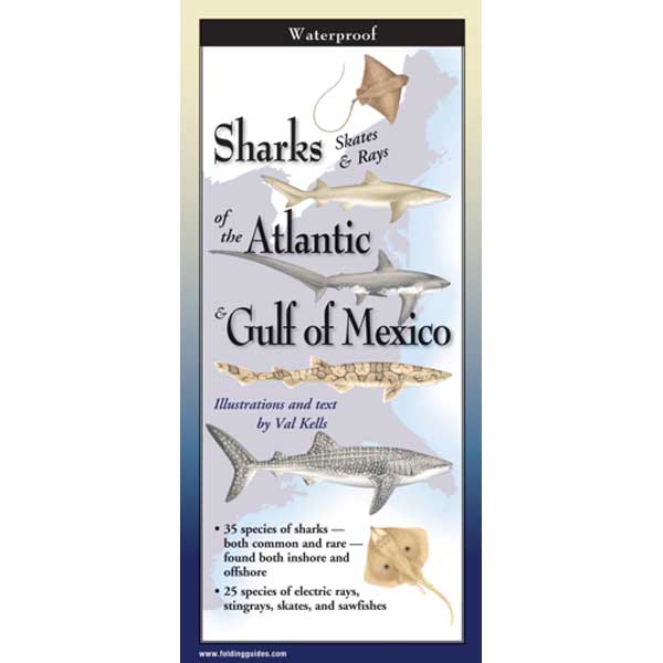 Booklet cover titled 'Sharks, Skates & Rays of the Atlantic & Gulf of Mexico' with illustrations and text.
